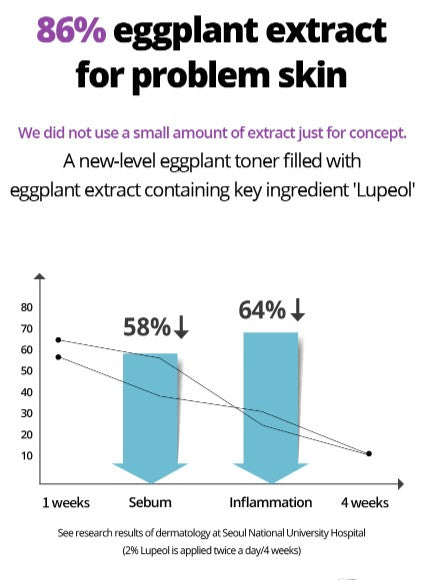 BONAJOUR Eggplant Daily BHA Toner + BHA Water Cream Set