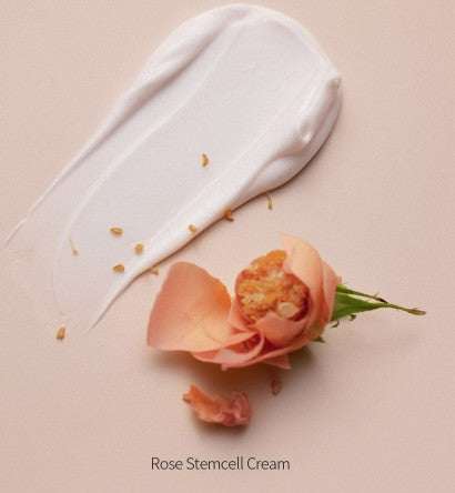 BONAJOUR Rose Stem Cell Cream