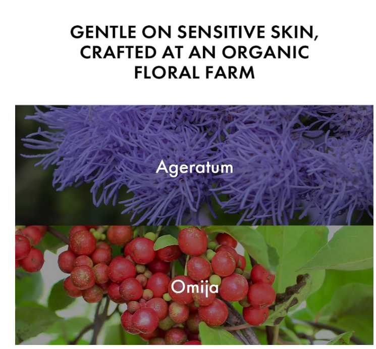 AGERIN Hydrating Barrier Exfoliating Gel